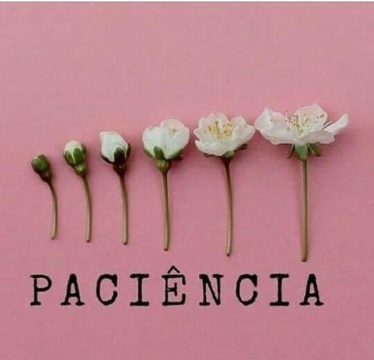 Para tudo h&aacute; um tempo, certo?

Sabemos isso na teoria, mas na pr&aacute;tica, queremos as coisas pra ontem!

Estamos cada vez mais imediatistas, uma vez que recebemos diariamente um bombardeio de informa&ccedil;&otilde;es que nos dizem que tudo tem que ser r&aacute;pido, instant&acirc;neo e que o tempo &ldquo;urge&rdquo;.

O fato &eacute; que na natureza nada d&aacute; saltos!

Voc&ecirc; planta uma semente hoje e vai precisar ter paci&ecirc;ncia para que ela flores&ccedil;a ou d&ecirc; frutos.

J&aacute; plantou morangos e eles nasceram no dia seguinte?

J&aacute; plantou uma &aacute;rvore e ela cresceu instantaneamente e lhe trouxe uma sombra fresca?

N&atilde;o n&eacute;?

Ent&atilde;o porque acredita que para realizar o que quer e o que precisa tudo tem que acontecer de forma r&aacute;pida, sem um tempo, um processo?

Voc&ecirc; FAZ PARTE DA NATUREZA e como tal obedece &agrave;s mesmas leis naturais!

Para tudo h&aacute; um tempo!&nbsp;

Pare por favor de exigir de voc&ecirc; mais do que voc&ecirc; pode dar agora!

Eu sei que voc&ecirc; pode sim fazer o seu melhor, mas ser&aacute; que voc&ecirc; n&atilde;o est&aacute; exigindo de voc&ecirc; algo imposs&iacute;vel, que apenas o tempo &eacute; capaz de florescer ou frutificar em sua vida?

Respire fundo.

Tenha paci&ecirc;ncia com o processo da Vida!

Tudo sempre acontece para um bem maior, assim como acontece na natureza!

Olhe a sua volta. Pare de achar que criando ansiedade, afli&ccedil;&atilde;o, autojulgamento e autocr&iacute;tica as coisas v&atilde;o acontecer mais rapidamente.

N&atilde;o v&atilde;o!

Voc&ecirc; apenas ficar&aacute; cada dia mais ansiosa, tensa, esgotada e sem confian&ccedil;a.

Respire fundo.

Confia no processo!

D&ecirc; o seu melhor, sem se exigir.

Aprenda a verdadeiramente amar a si mesma!

Quem se ama n&atilde;o se exige tanto.

Eu sei que voc&ecirc; est&aacute; fazendo o seu melhor poss&iacute;vel!

Reconhe&ccedil;a!

Se abrace!

Permita viver uma vida onde voc&ecirc; se torna amiga do tempo e n&atilde;o onde ele te consome e te afasta de viver de verdade!

Lembre-se: a paci&ecirc;ncia &eacute; o intervalo entre a semente e a flor!!!

Com amor,

Dani