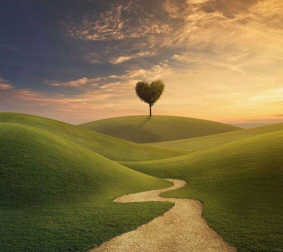 O caminho do coração A nossa mente deveria ser um apoio ao nosso coração e não o contrário!
Quando decidimos morar na cabeça, ativando em nós a mulher tarefeira, desconectamos do fio invisível que conecta a mente ao coração e então, como um cavalo sem freio e desgovernado, a mente sai fazendo o que nasceu pra fazer: tarefas.
O sentir, a intuição, a percepção de si mesma, do seu corpo e do seu entorno, a força feminina, vêm do nosso coração!
Estamos profundamente desconectadas de nós mesmas e o preço que pagamos é nos sentirmos exaustas, com a autocrítica nas alturas, sem saber o que queremos e para onde vamos, com as relações no piloto automático e sentindo-nos infelizes.
Perdemos a capacidade de escutarmos as nossas necessidades internas.
Mas qual será então o caminho para essa conexão com o nosso sentir, o nosso corpo e o nosso coração?
Eu te sugiro começar com perguntas simples, mas poderosas:
- “O que eu quero de verdade?”
- “Isso é realmente bom pra mim?”
- “Será que eu quero mesmo isso aqui?”
- “Do que eu preciso agora?”
Você não vai fazer essas perguntas de forma automática e de repente obter respostas, já te adianto.
Você precisa respirar diariamente, fazer as perguntas e soltar, confiante que o tempo do seu coração e da sua intuição não são instantâneos, confiante de que a resposta virá.
Continue fazendo as perguntas e abra-se para receber as respostas.
O resultado virá no tempo certo!
Confie no processo.
Com amor,
Dani