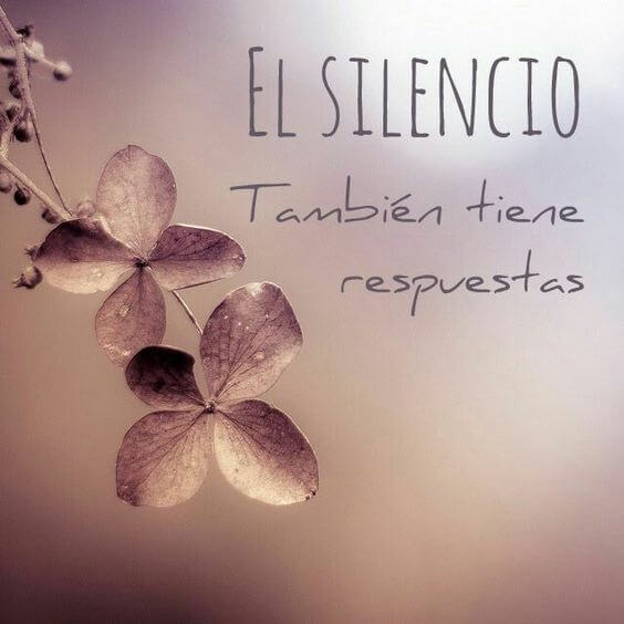 Silencie! Eu acredito que, de tempos em tempos, a vida nos cutuca, aperta daqui e aperta dali como numa provocação amorosa para sairmos da nossa zona de conforto.
E vamos combinar que sair da zona de conforto nem sempre é fácil, não é mesmo?
A gente está ali na m*rda, mas ela está quentinha rs
Pois é! Esta é a zona de conforto!
Por aqui, não é diferente.
Costumo brincar que minha alma é mega inquieta, se movimenta como o vento!
Porém, eu confesso que resisto um bocado, por que a cada vez que recebo o convite do movimento, tenho que sair do quentinho rs
Brincadeiras a parte, você se identifica com o que eu escrevo?
Sente que você também fica resistindo aos movimentos que a vida te pede?
Por aqui estou novamente sendo convidada ao movimento e a expansão e isso pede silêncio interior.
Não dá pra movimentar sem saber para onde...
Não dá pra expandir, sem saber pra quê...
Nestes momentos de mudança, de saída da zona de conforto, o melhor a fazer é silenciar.
No silêncio da mente tagarela, encontramos a voz do nosso coração.
No silêncio da mente tagarela, encontramos o movimento da nossa alma e ela sempre sabe para onde nos levar.
Por aqui, estou em silêncio para escutá-la!
Silencie.
Escute-se!
Confie no processo!
Com amor,
Dani